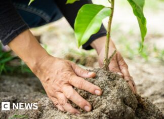 Staffordshire Moorlands Council financia proyectos locales de acción climática