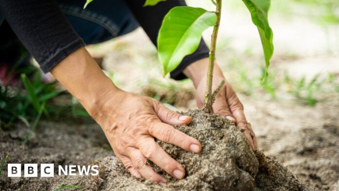 d7a40da7-26f1-4288-b3fa-c07b8655d004