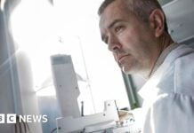 Hon na kosmický prach: Občané jsou zváni k účasti na hledání částic z vesmíru