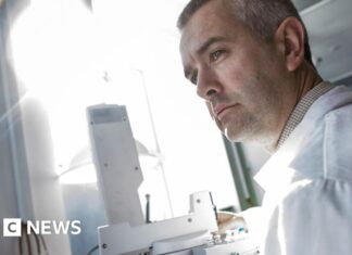 Kosmische stofjacht: burgers uitgenodigd om naar ruimtedeeltjes te zoeken