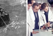 За межами рубежів: Artemis II завершила історичний обліт Місяця