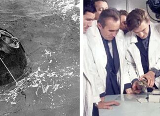 За межами рубежів: Artemis II завершила історичний обліт Місяця