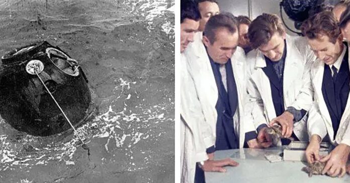 02c4c3c8-2d19-4903-9c38-380ac0666df8