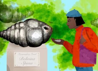 De conchas microscópicas a piadas de física: o lado peculiar da ciência