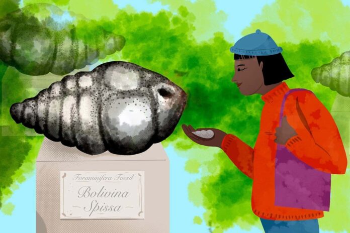 29c84217-aa56-4d30-8d56-00ae08ad1e7c