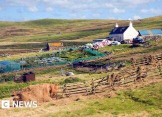 Das sich wandelnde Gesicht der schottischen Landwirtschaft: Ein wichtiges Schlachtfeld bei den bevorstehenden Wahlen