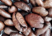 Більше, ніж просто заряд кофеїну: як кава змінює зв’язок між кишечником та мозком