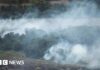 Втрата тропічних лісів сповільнилася, але кліматичні загрози залишаються величезними