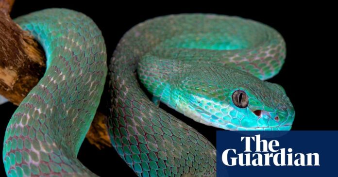 fcaeddff-f377-4d51-a8ea-85b10b661806