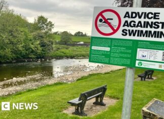 Ne nagez pas : le paradoxe des rivières polluées d’Angleterre