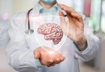 Il tuo cervello potrebbe far crescere nuove cellule in questo momento. Ecco cosa stanno facendo.