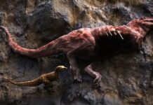 Tyrannosaurier waren auch Aasfresser: Neue Studie enthüllt kannibalische Gewohnheiten