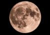 20 de julio de 206: Cómo ver la luna creciente en el Día Internacional de la Luna